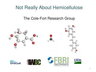 Not Really About Hemicellulose The Cole-Fort Research Group