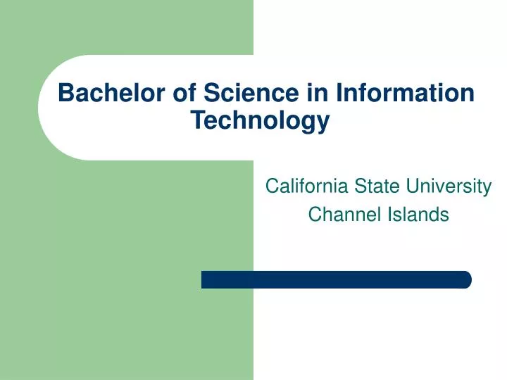 bachelor of science in information technology