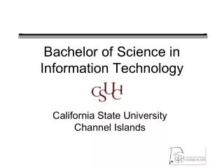 Bachelor of Science in Information Technology