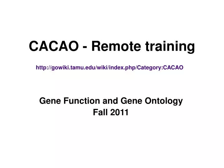 cacao remote training