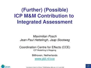 (Further) (Possible) ICP M&amp;M Contribution to Integrated Assessment Maximilian Posch