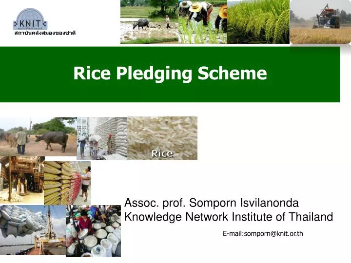rice pledging scheme