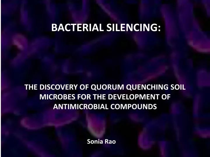 the discovery of quorum quenching soil microbes for the development of antimicrobial compounds