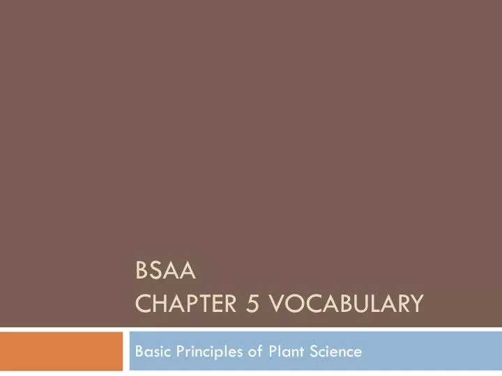 bsaa chapter 5 vocabulary