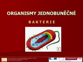 organismy jednobun n