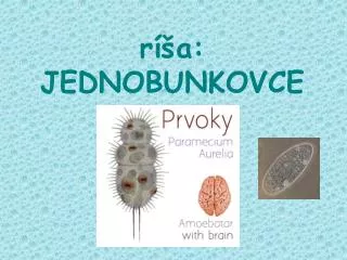 r a jednobunkovce