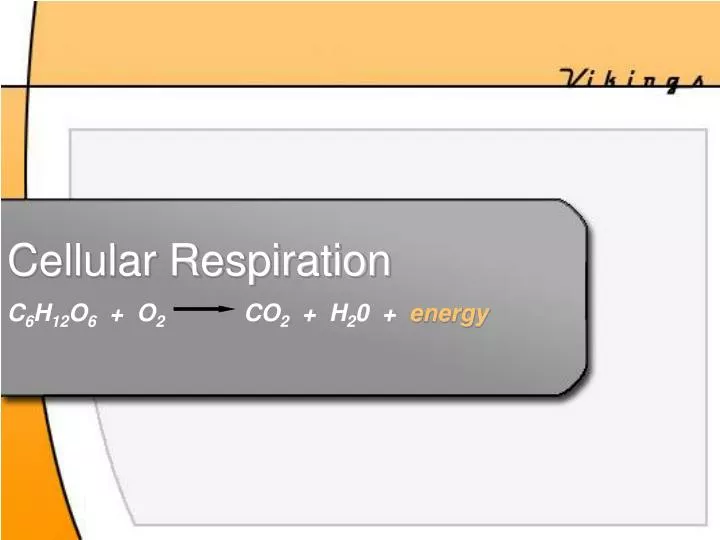 cellular respiration