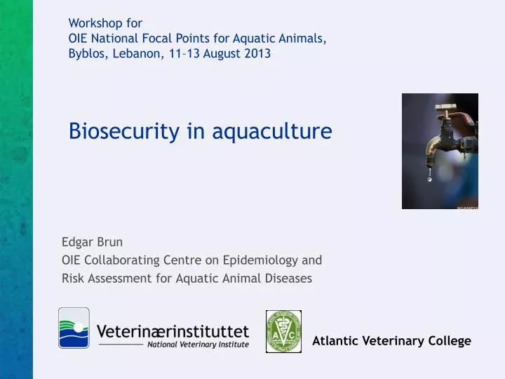 biosecurity in aquaculture
