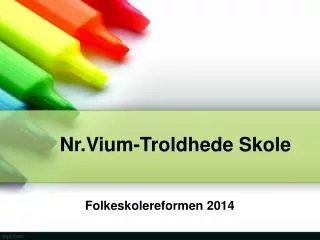 nr vium troldhede skole