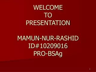 WELCOME TO PRESENTATION MAMUN-NUR-RASHID ID#10209016 PRO-BSAg