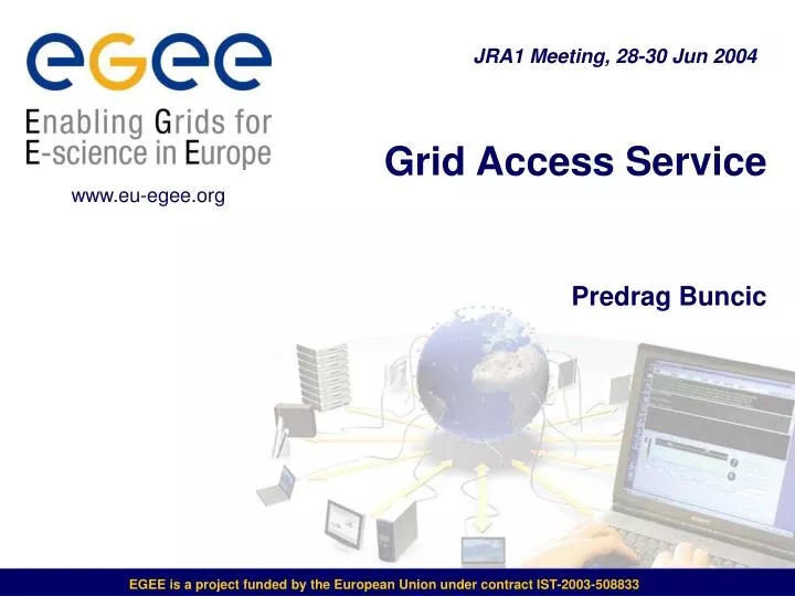 grid access service predrag buncic