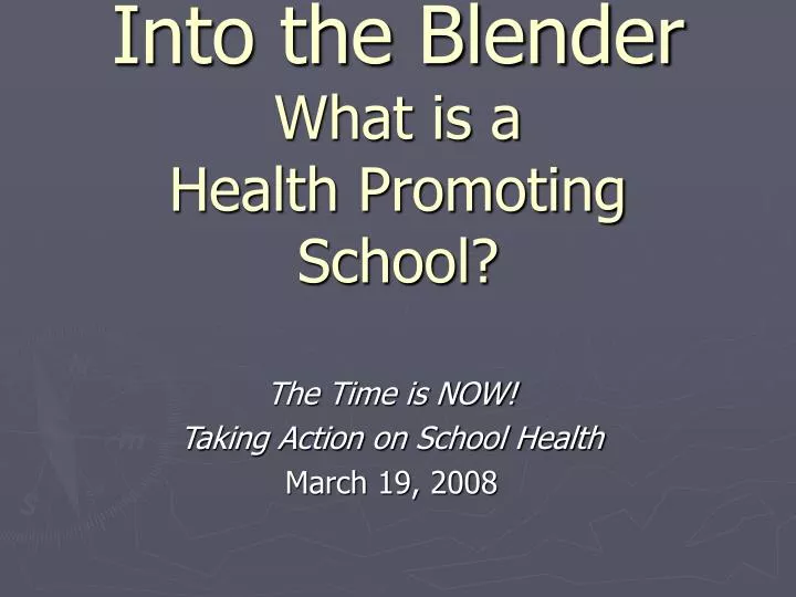 into the blender what is a health promoting school