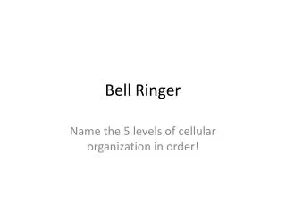 bell ringer