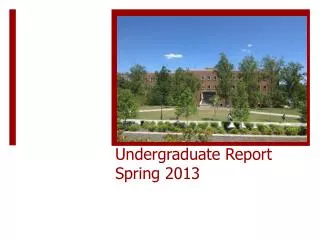 Undergraduate Report Spring 2013