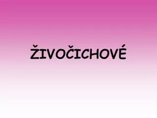 ivo ichov