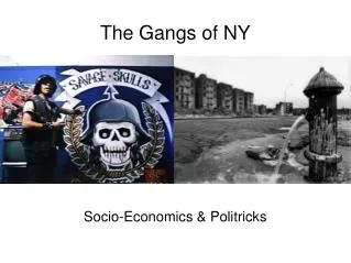 The Gangs of NY
