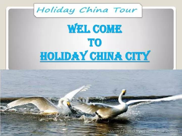 wel come to holiday china city
