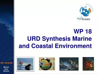 WP 18 URD Synthesis Marine and Coastal Environment