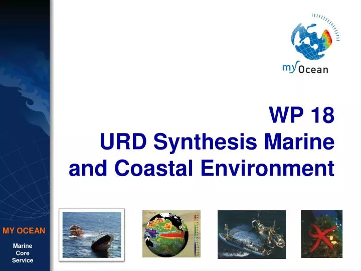 wp 18 urd synthesis marine and coastal environment