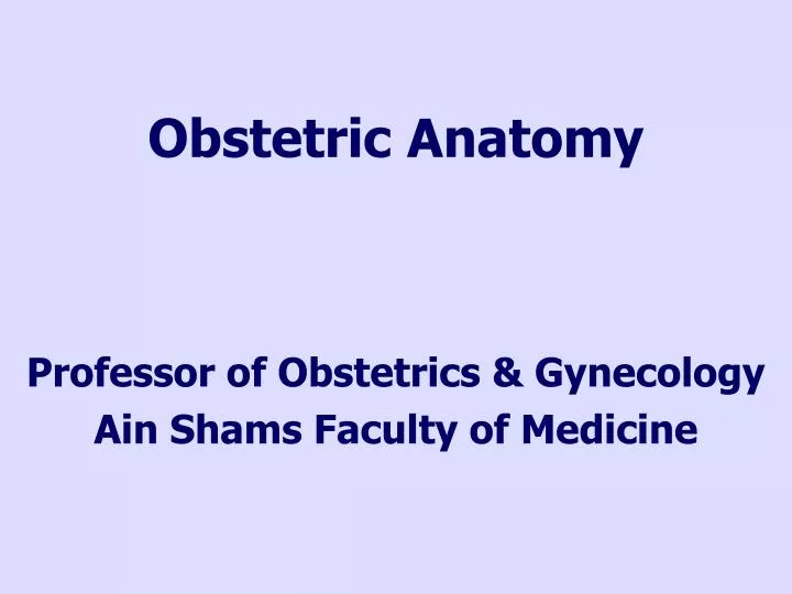 obstetric anatomy