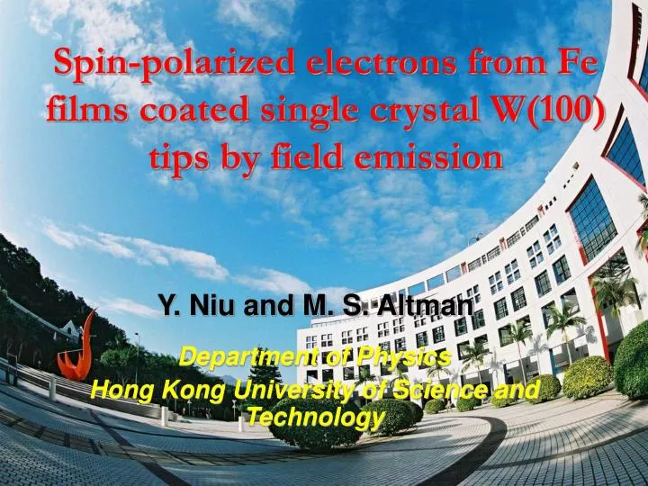spin polarized electrons from fe films coated single crystal w 100 tips by field emission
