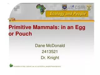 Primitive Mammals: in an Egg or Pouch