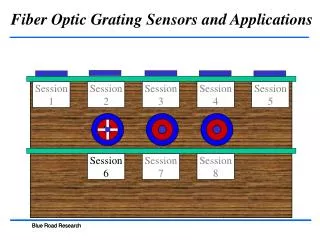 Fiber Optic Grating Sensors and Applications