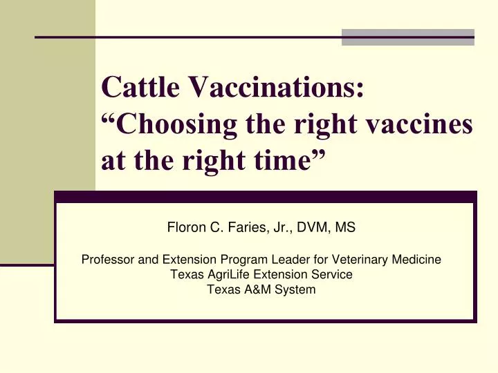 cattle vaccinations choosing the right vaccines at the right time