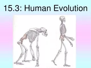15.3: Human Evolution