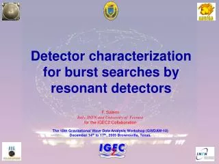 Detector characterization for burst searches by resonant detectors