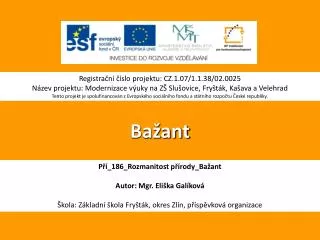 ba ant