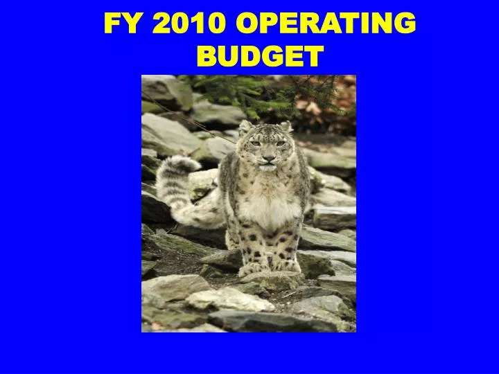 fy 2010 operating budget