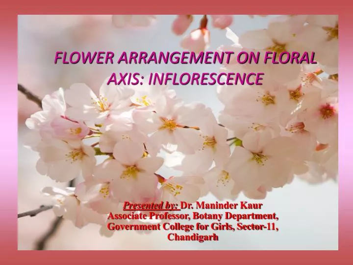 flower arrangement on floral axis inflorescence