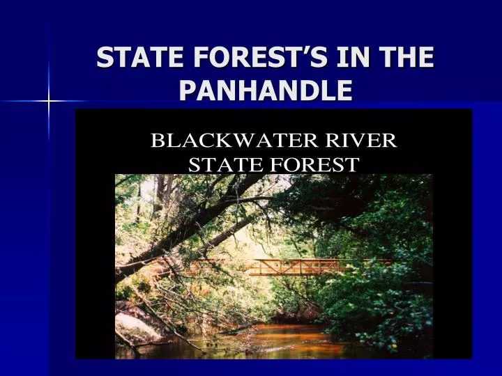 state forest s in the panhandle