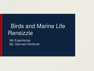 Birds and Marine Life Rensizzle
