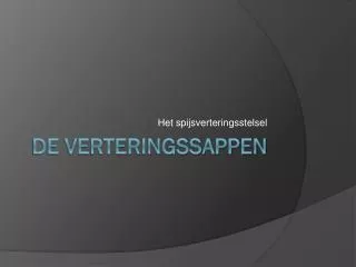 het spijsverteringsstelsel