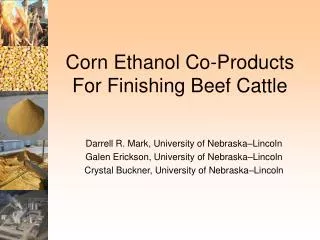 Corn Ethanol Co-Products For Finishing Beef Cattle
