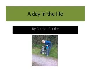 a day in the life