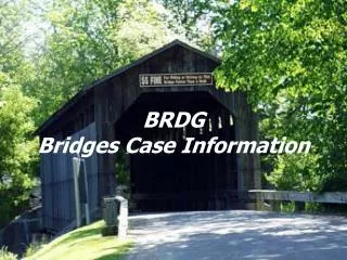 BRDG Bridges Case Information