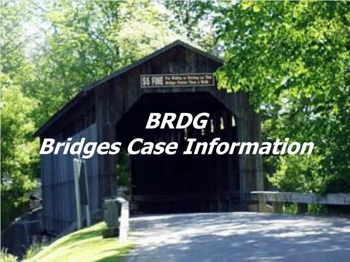brdg bridges case information
