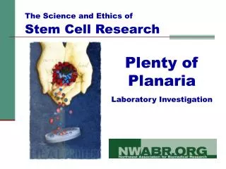 Plenty of Planaria Laboratory Investigation