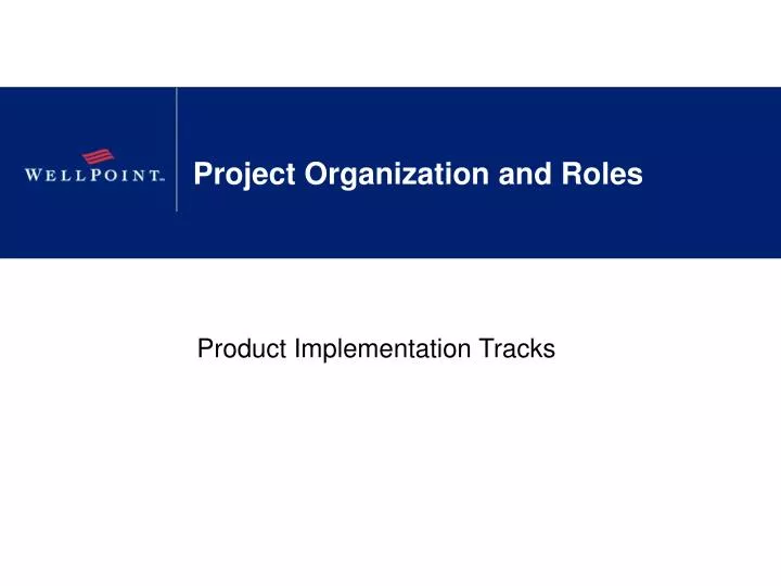 project organization and roles
