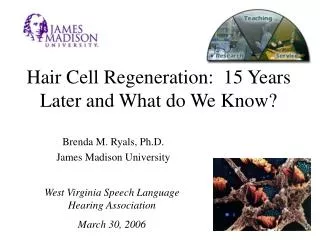 Hair Cell Regeneration: 15 Years Later and What do We Know?