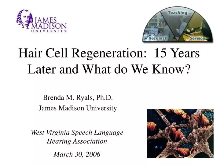 hair cell regeneration 15 years later and what do we know