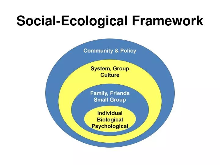 social ecological framework