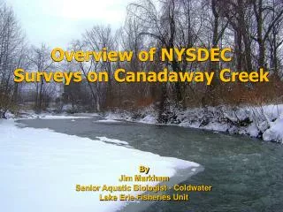 Overview of NYSDEC Surveys on Canadaway Creek