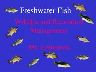 Wildlife and Recreation Management Mr. Lemmons