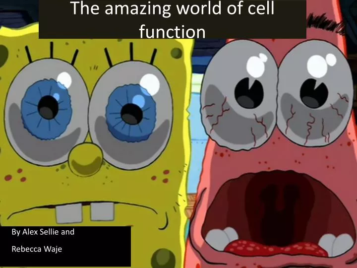 the amazing world of cell function