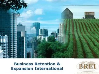 Business Retention &amp; Expansion International