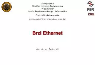 brzi ethernet